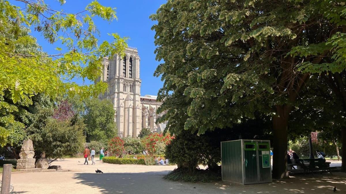 Serenity, Meditation At Notre Dame Parigi